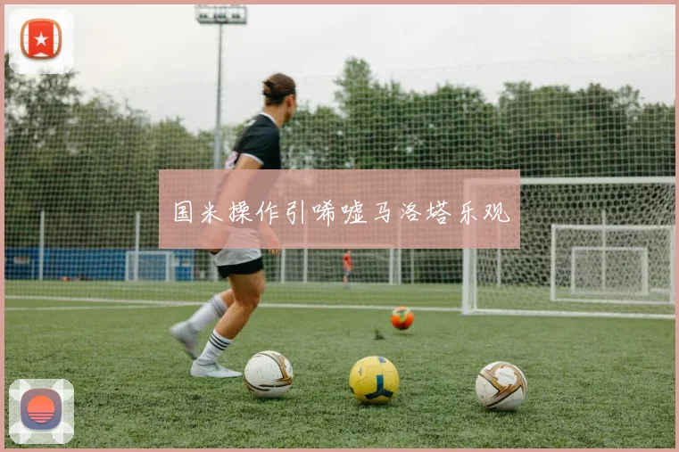 国米操作引唏嘘马洛塔乐观